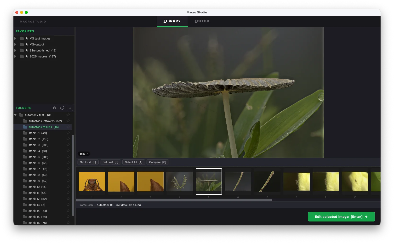 Autostack in the Library: a folder of brackets split into separate 'stack 001', 'stack 002' folders in the tree, with one stacked mushroom result on the canvas and its source frames in the strip below.
