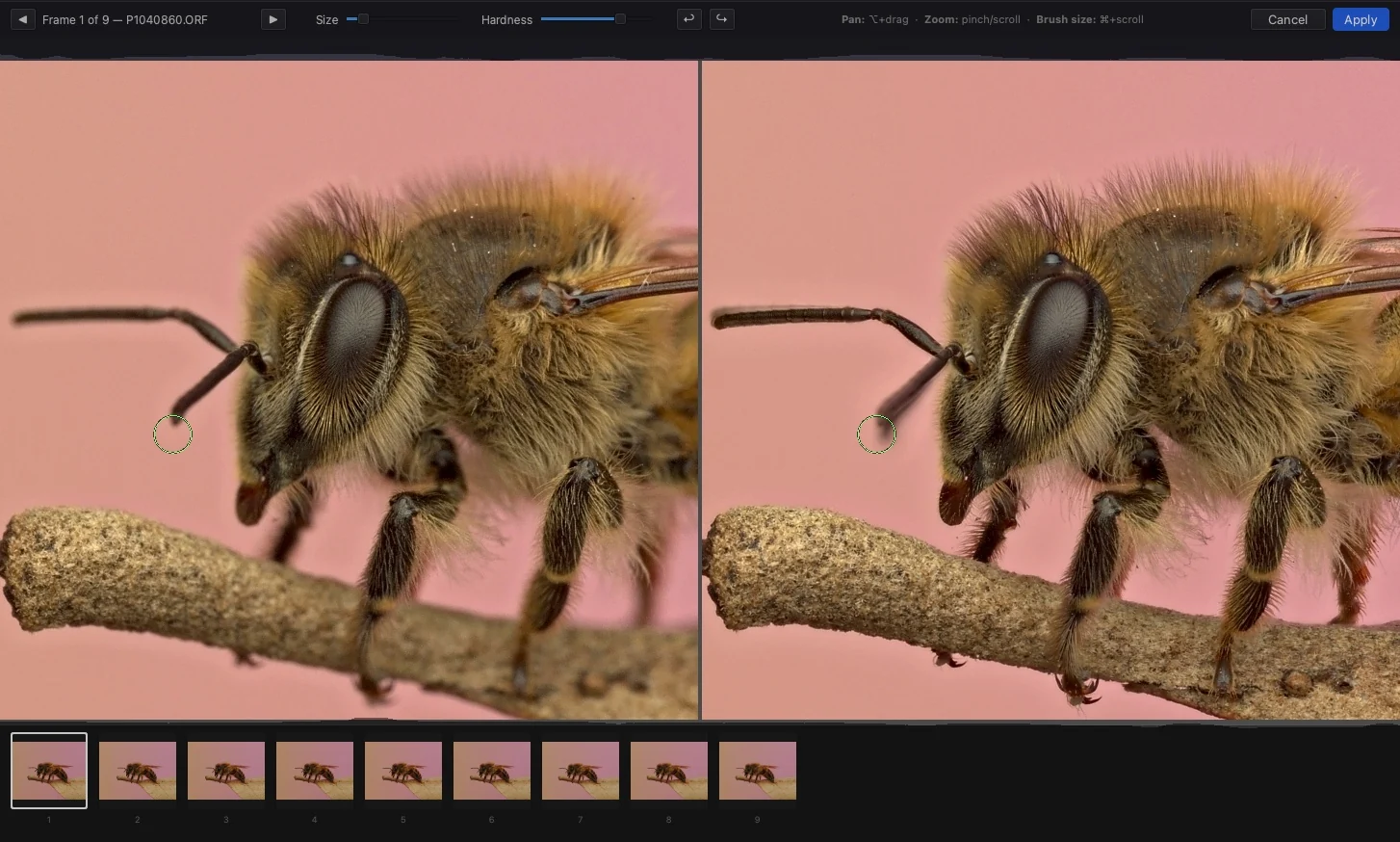 Retouch mode: a stacked honey bee shown alongside a source frame, with a strip of source frames below and brush size and hardness controls above — painting sharp detail from one frame into the result.